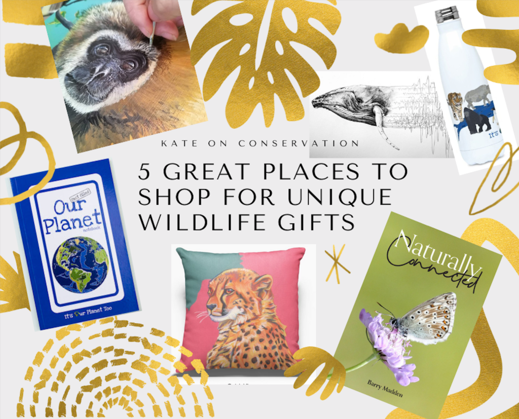 5 good locations to buy distinctive wildlife presents