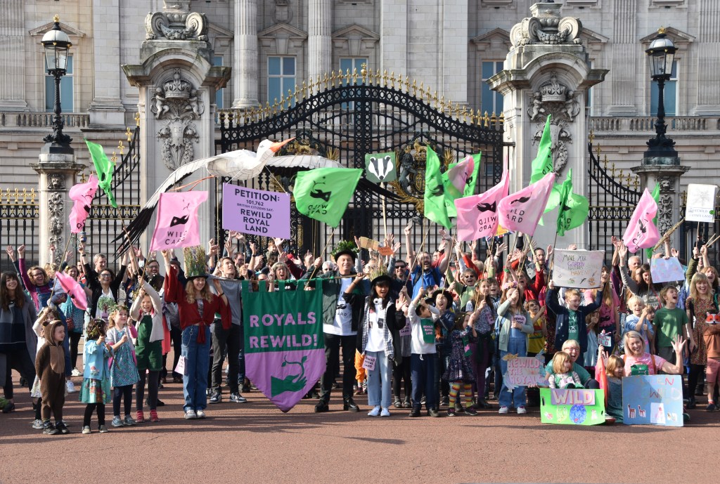 Faculty strikers determine on the Royals to rewild their land