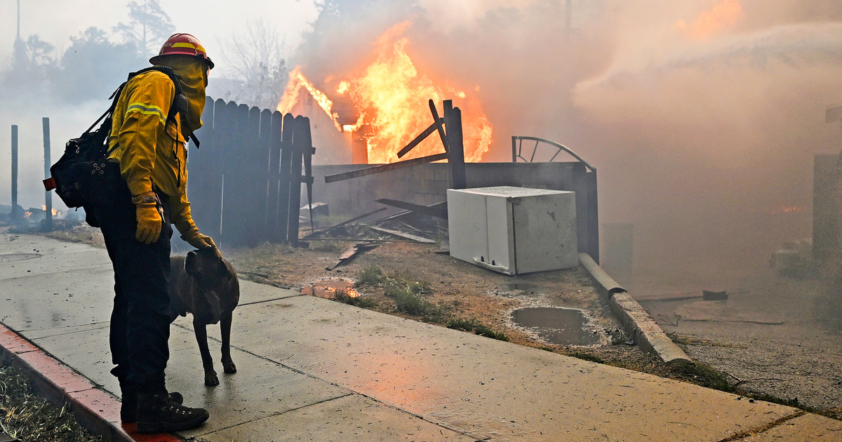 IFAW President and CEO assertion on Los Angeles wildfires